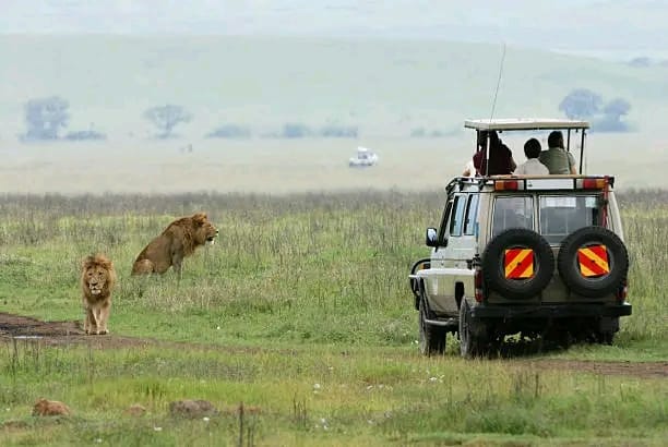 Ngorongoro Conservation Area