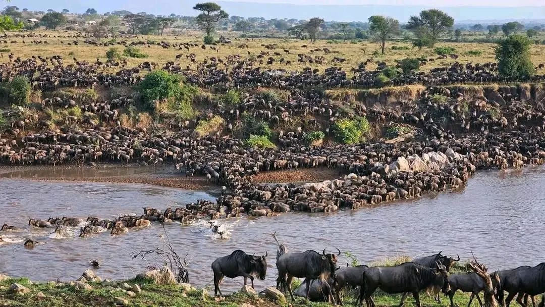 Serengeti National Park
