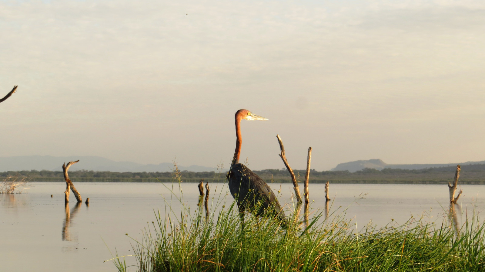 Lake Baringo