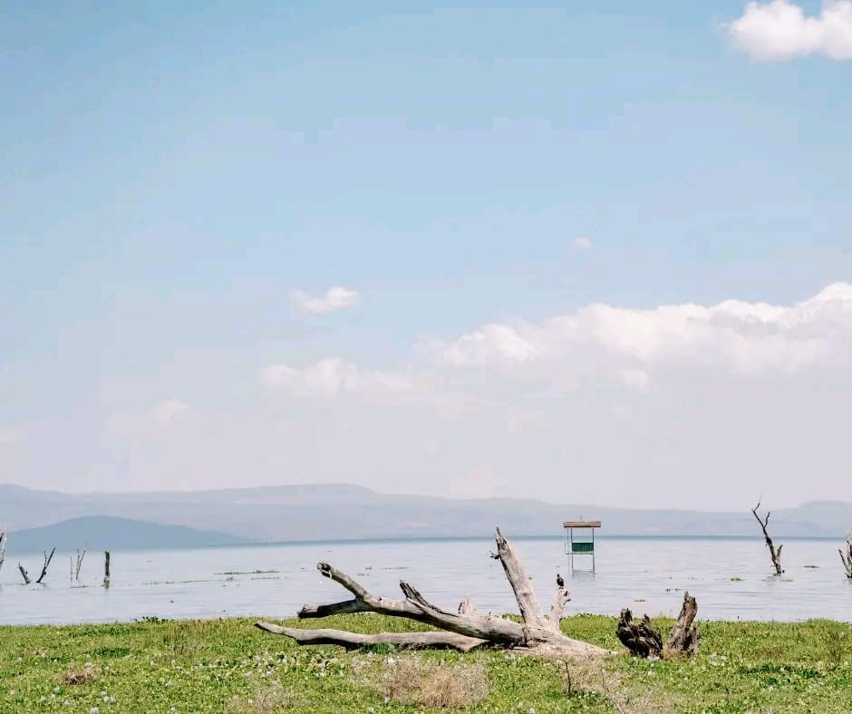 Lake Naivasha