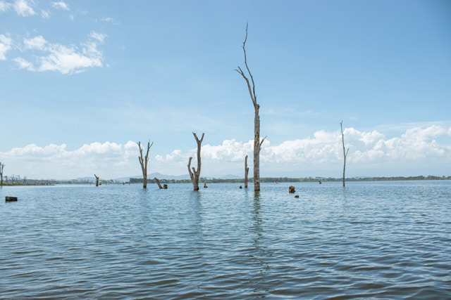 Lake Naivasha