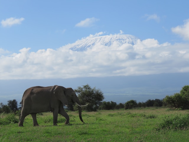 Amboseli National Park