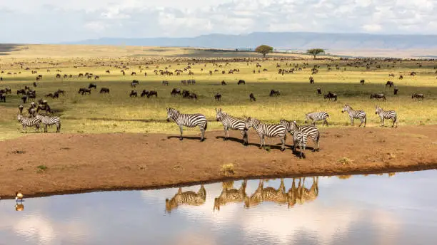 Maasai Mara National Reserve