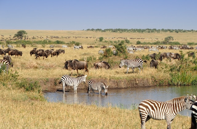 Serengeti National Park