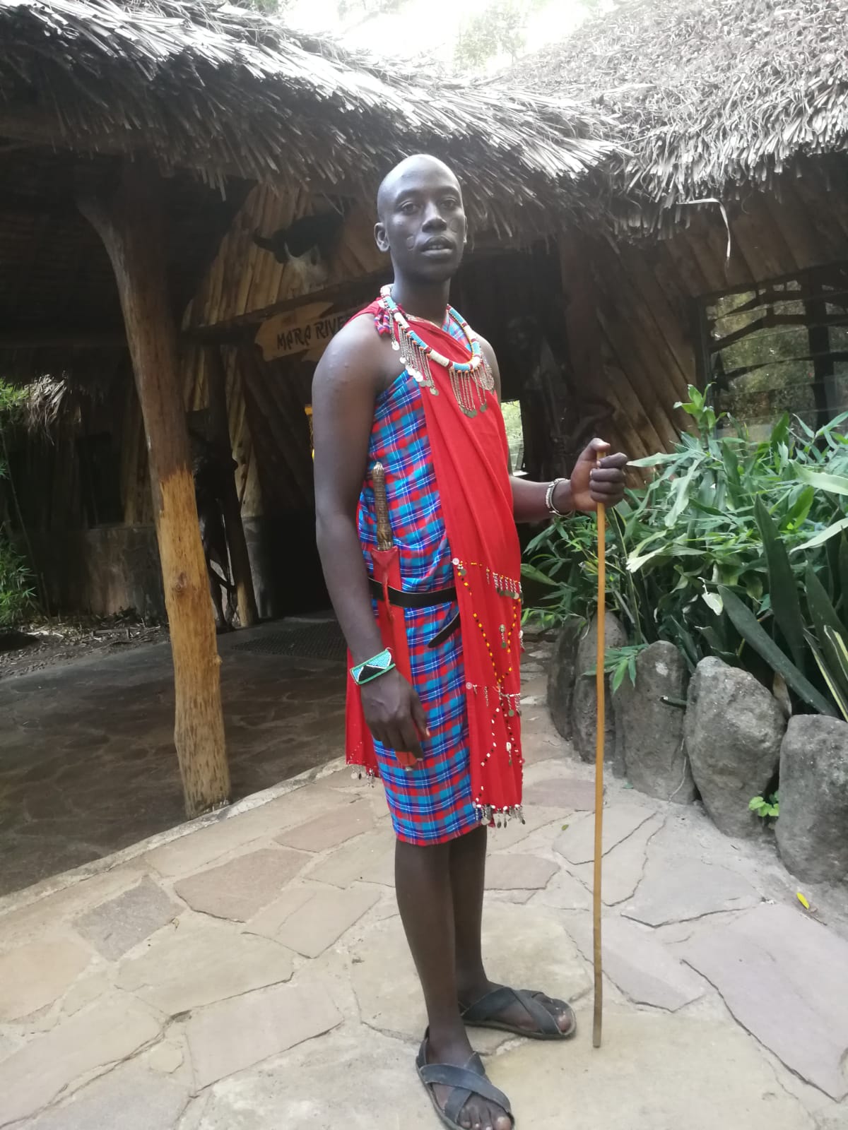Safari experience in Kenya and Tanzania